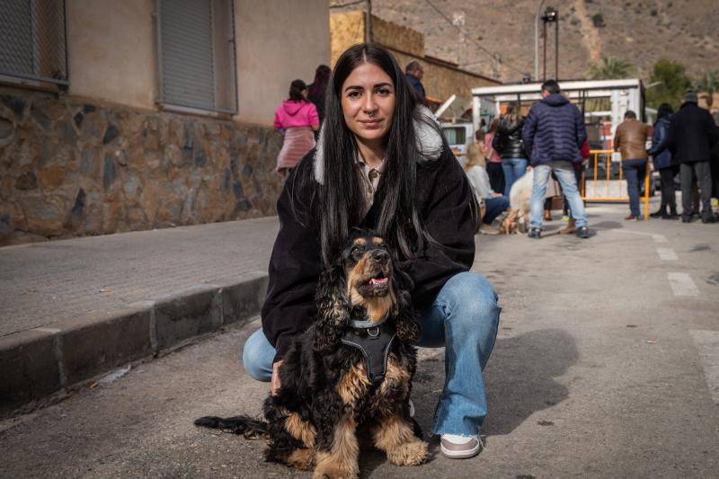 Las imágenes del día de San Antón en Orihuela