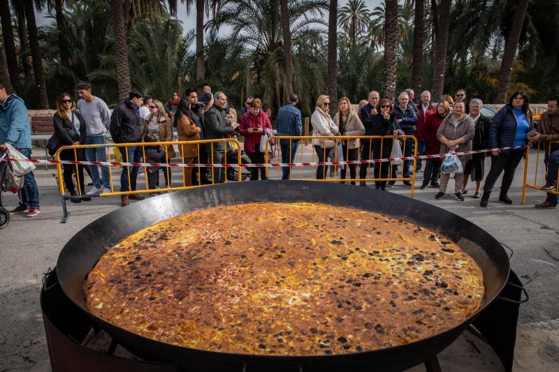 Las imágenes del día de San Antón en Orihuela