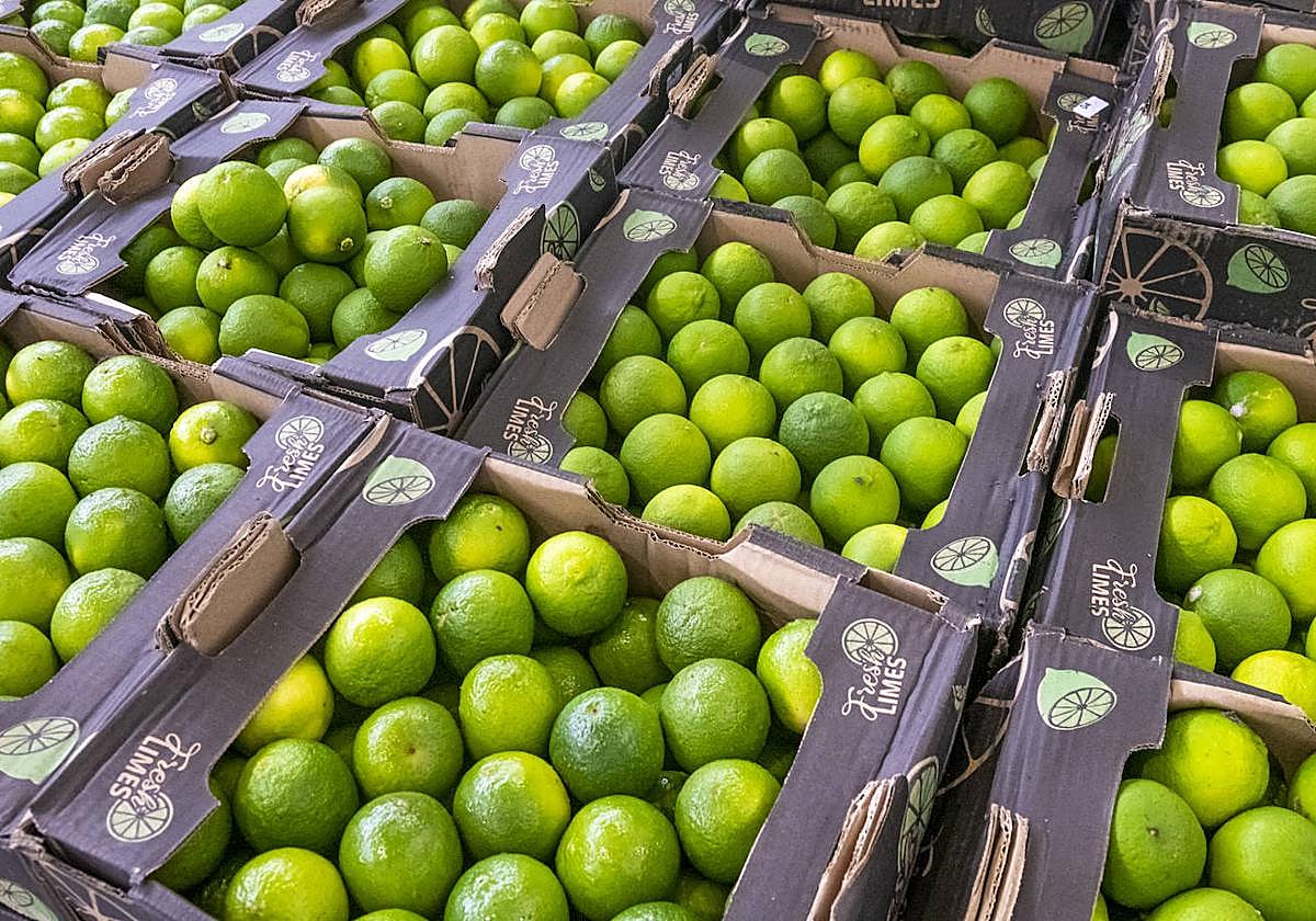 Limones preparados para su venta en una imagen de archivo.