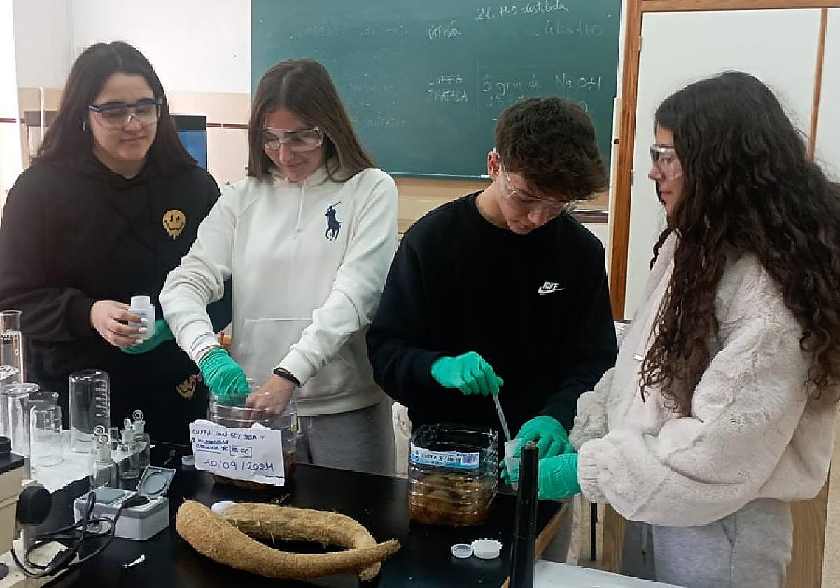 Los alumnos, en el laboratorio del ColegioCarmelitas.