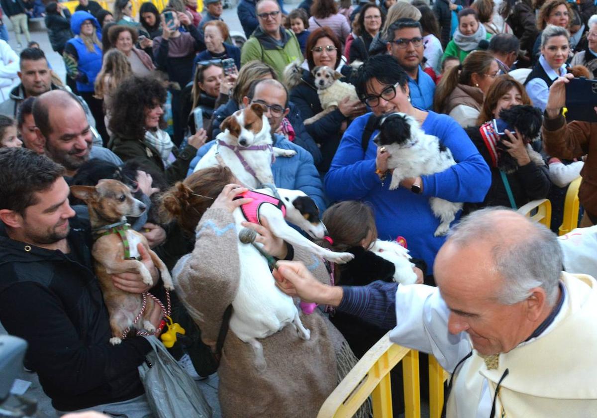 Bendición de mascotas en Cieza.