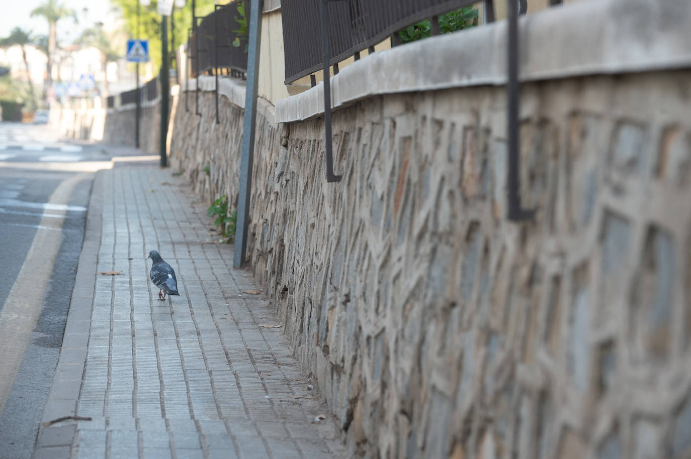 Las imágenes de las pintadas y desperfectos del Malecón de Murcia