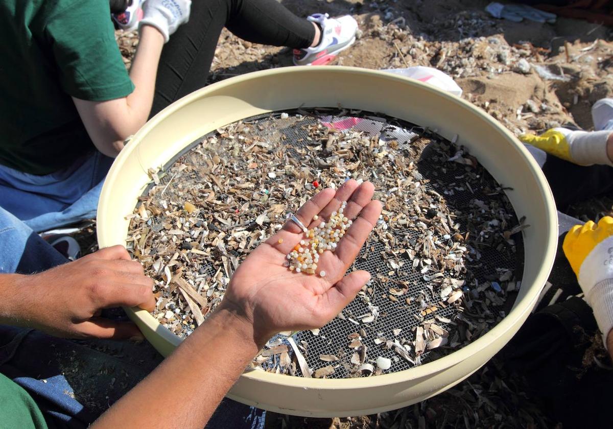 'Pellets' de plástico recogidos con un cedazo en una limpieza de playas junto a Cabo Cope.