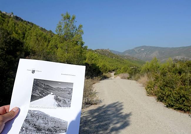 Porte de los árboles de La Silla en 2014 (pequeña).