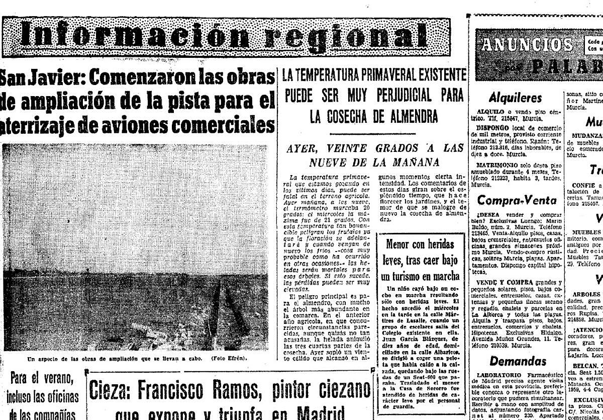 El 20 de enero de 1966, a las nueve de la mañana, Murcia registró una temperatura de 20 grados, devastadora para la futura cosecha de almendra, como informó LA VERDAD.