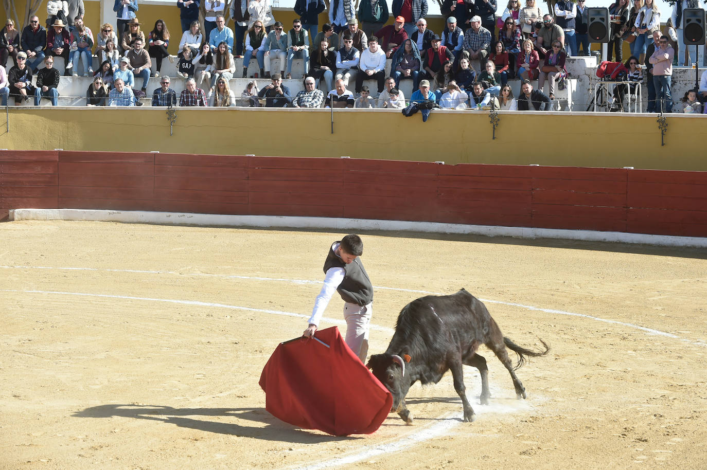 Tentadero benéfico de Ortega Cano en Torre Pacheco
