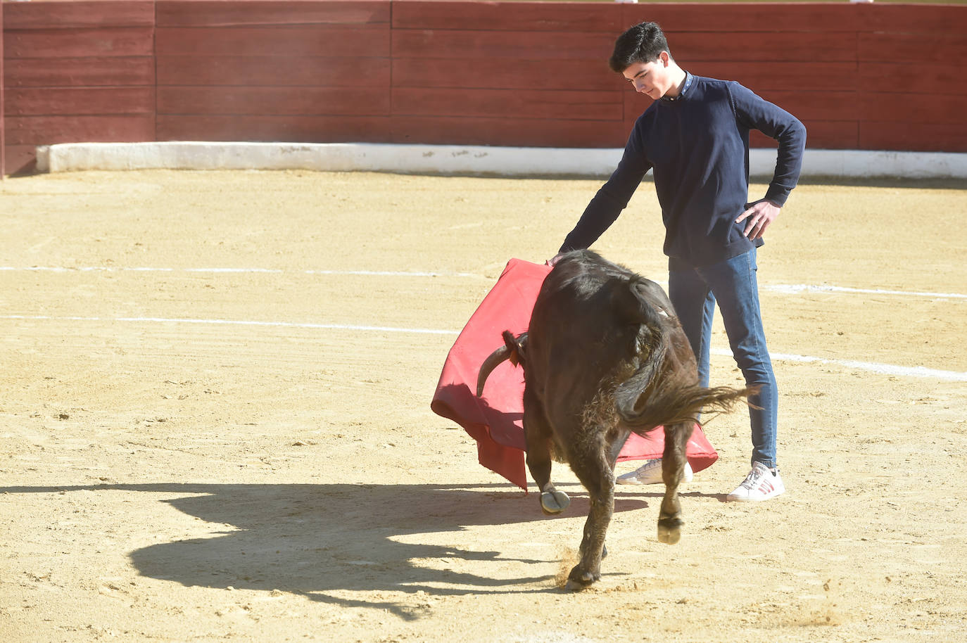 Tentadero benéfico de Ortega Cano en Torre Pacheco