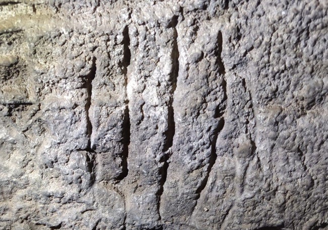 Uno de los zarpazos de la cueva atribuidos a oso cavernario.