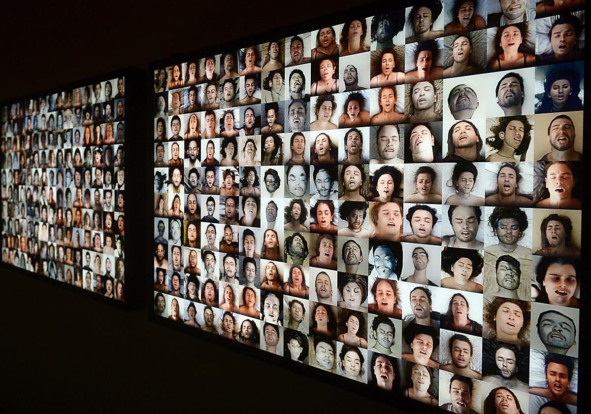 La exposición &#039;Nemotipos&#039; de Joan Fontcuberta, en imágenes