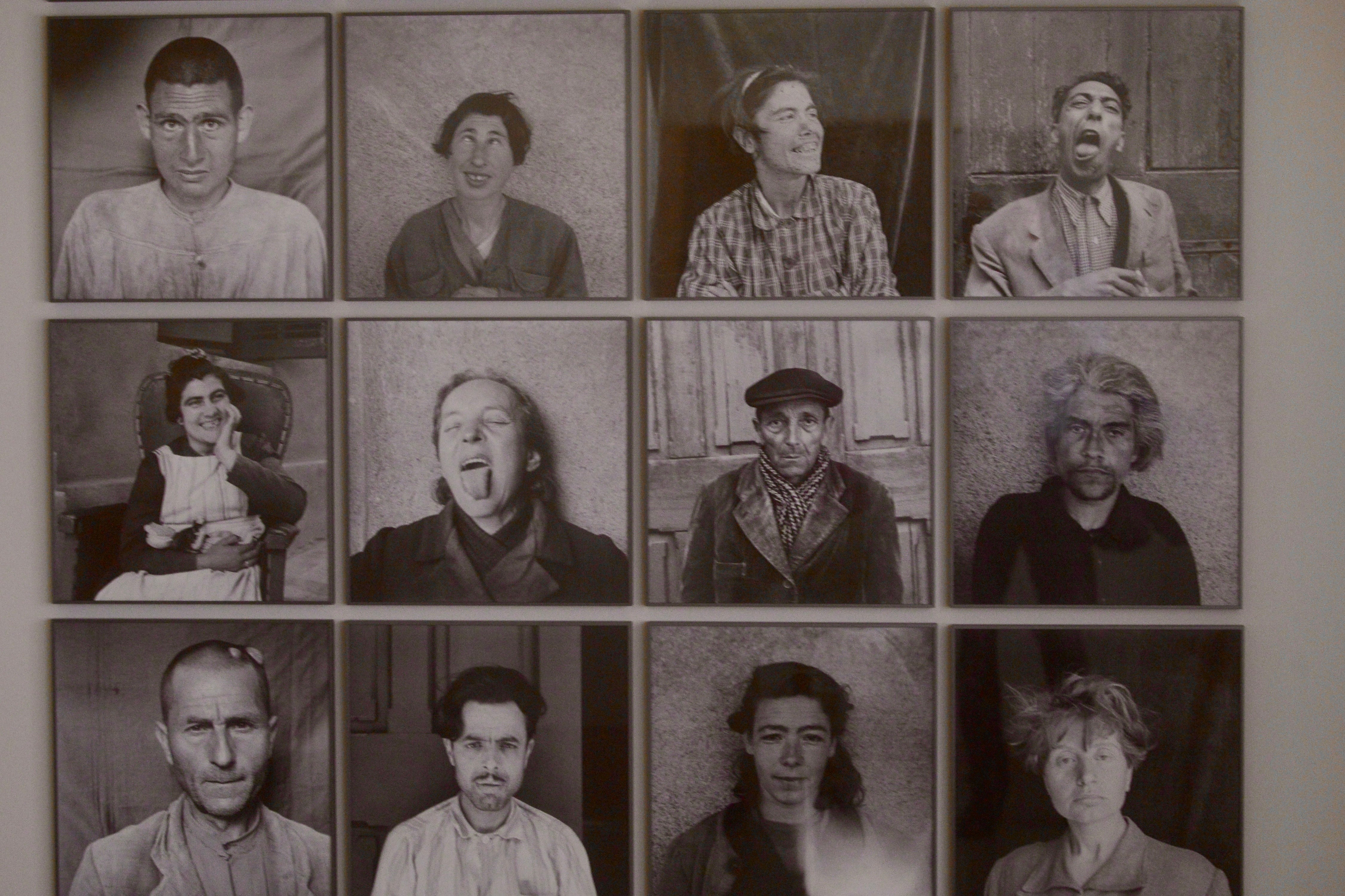 La exposición &#039;Nemotipos&#039; de Joan Fontcuberta, en imágenes