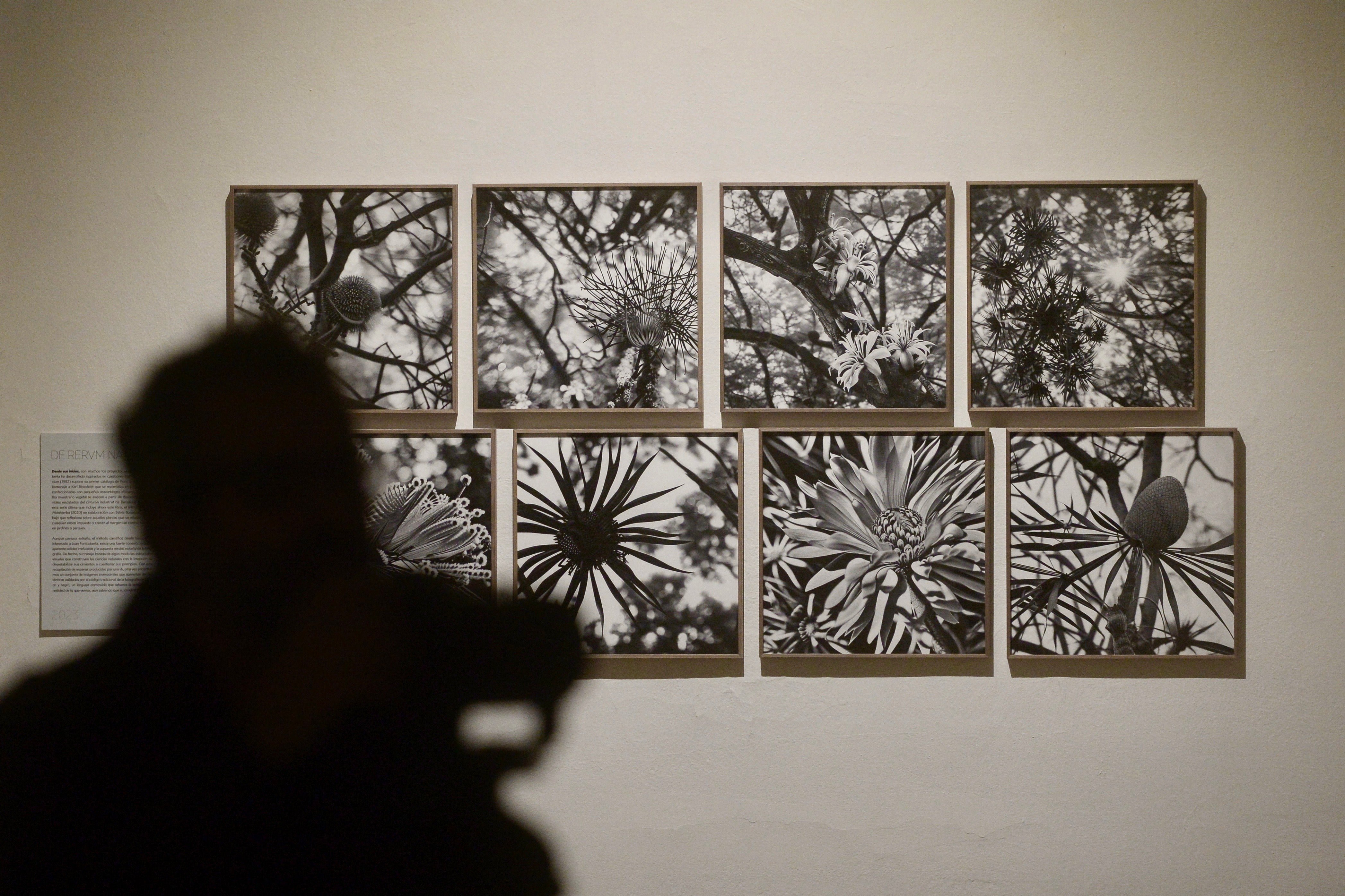 La exposición &#039;Nemotipos&#039; de Joan Fontcuberta, en imágenes