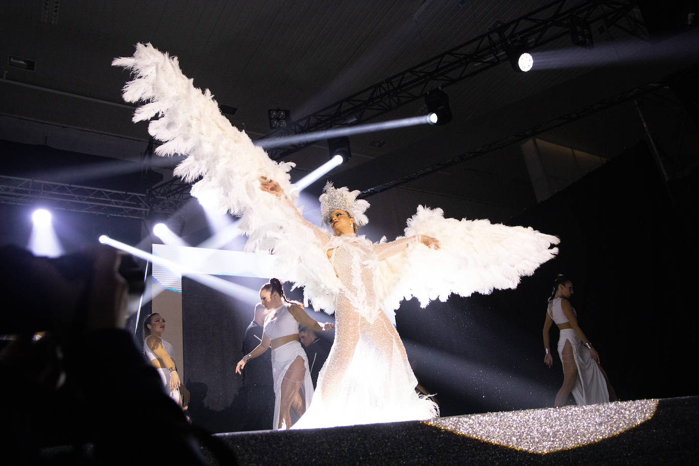 Gala de intercambio de poderes del Carnaval de Águilas, en imágenes