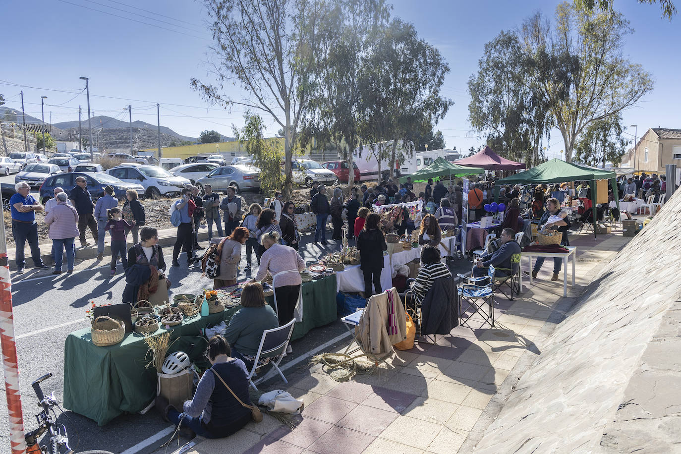 Feria de floración &#039;Cartagena oeste en flor&#039;, en imágenes