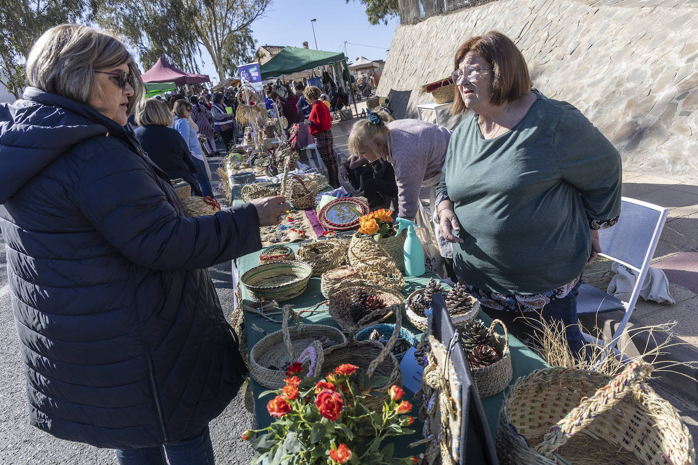 Feria de floración &#039;Cartagena oeste en flor&#039;, en imágenes