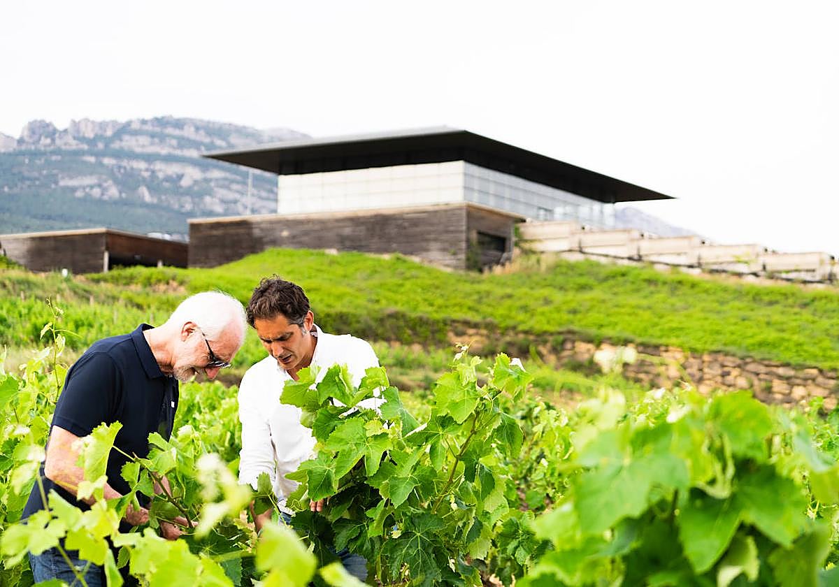 Pedro Martínez (izquierda), en las viñas de su Bodegas Baigorri.