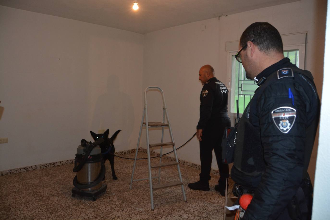 Entrenamiento de las unidades caninas de la Región en Cieza, en imágenes