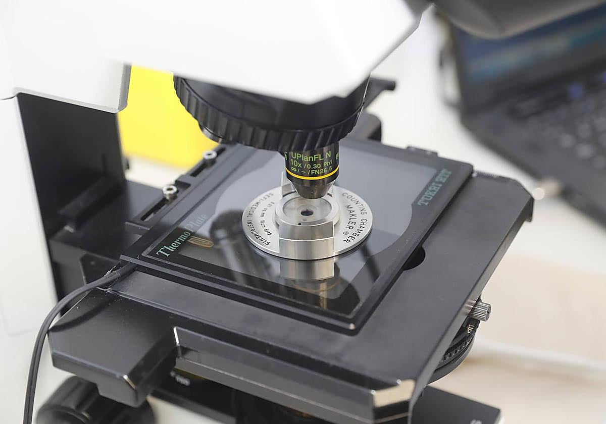 La inversión regional en I+D alcanza el mayor aumento en España desde la crisis financiera