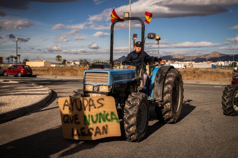 La tractorada de los organizaciones agrarias por la Vega Baja no logra cortar la A-7