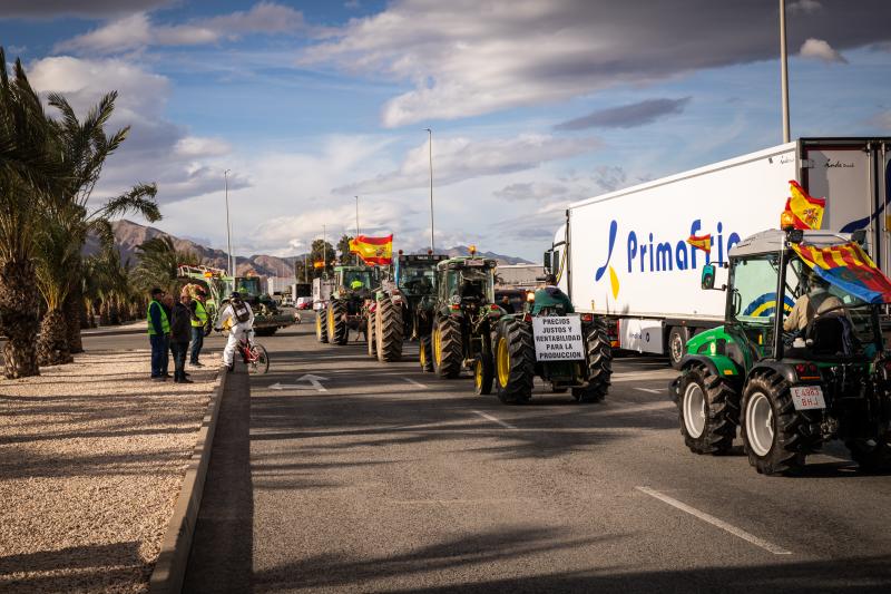 La tractorada de los organizaciones agrarias por la Vega Baja no logra cortar la A-7