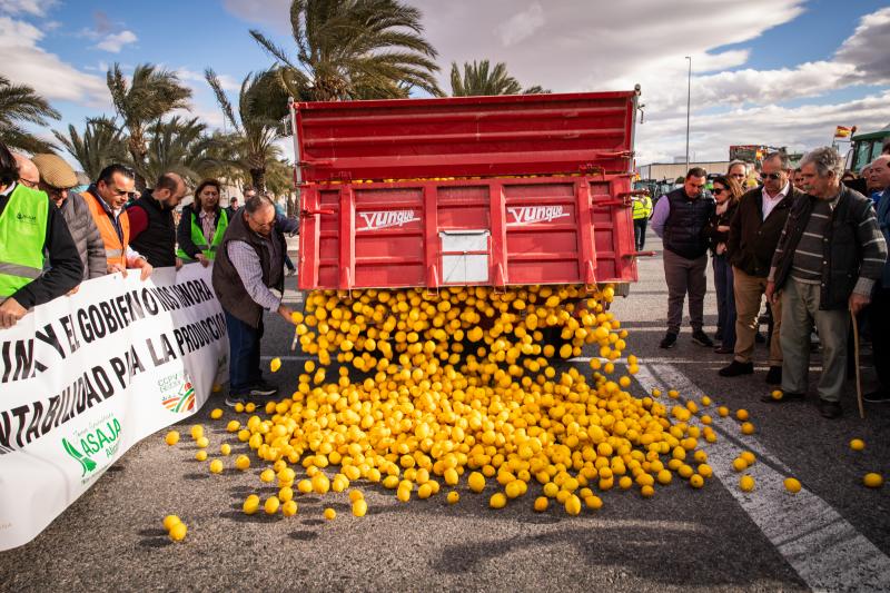 La tractorada de los organizaciones agrarias por la Vega Baja no logra cortar la A-7