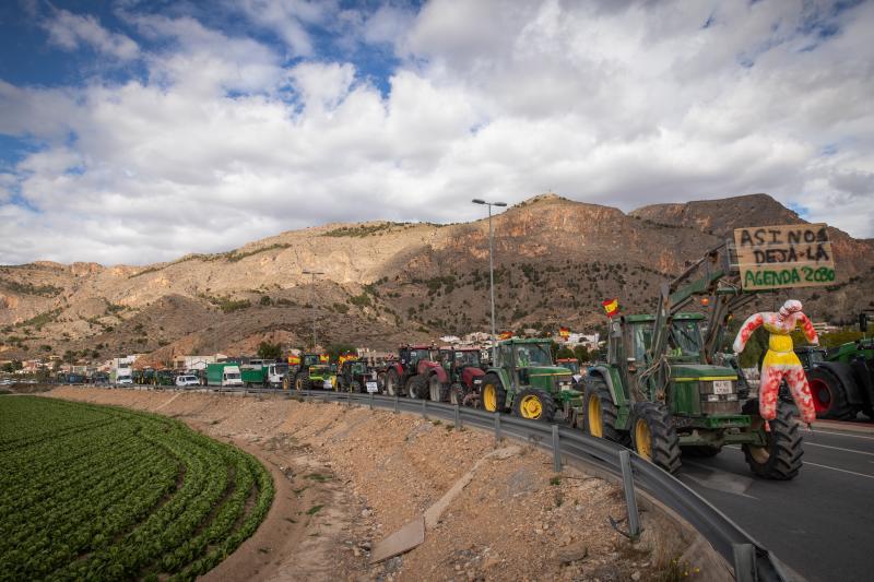 La tractorada de los organizaciones agrarias por la Vega Baja no logra cortar la A-7