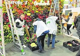 Voluntarios de la ONG retirando las frutas y hortalizas del panel vertical del estand de la Región.