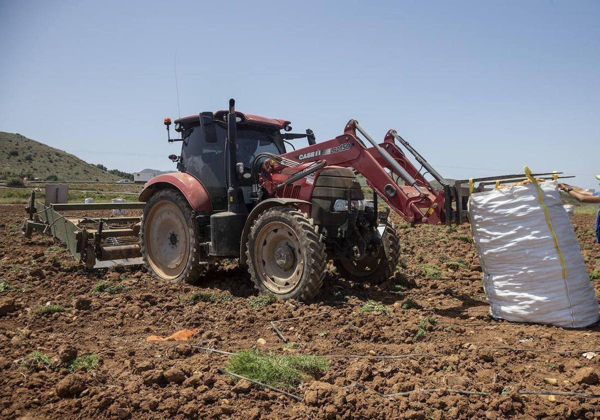 La Consejería propone que se reduzcan los módulos del IRPF a agricultores y ganaderos
