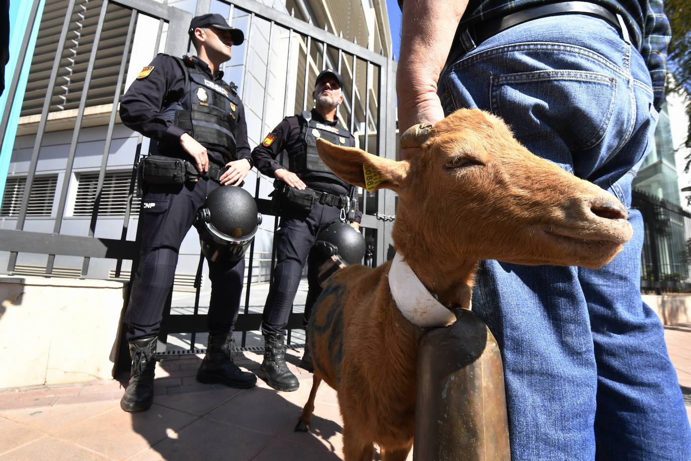 Las protestas de los agricultores llegan a Murcia el 21-F, en imágenes