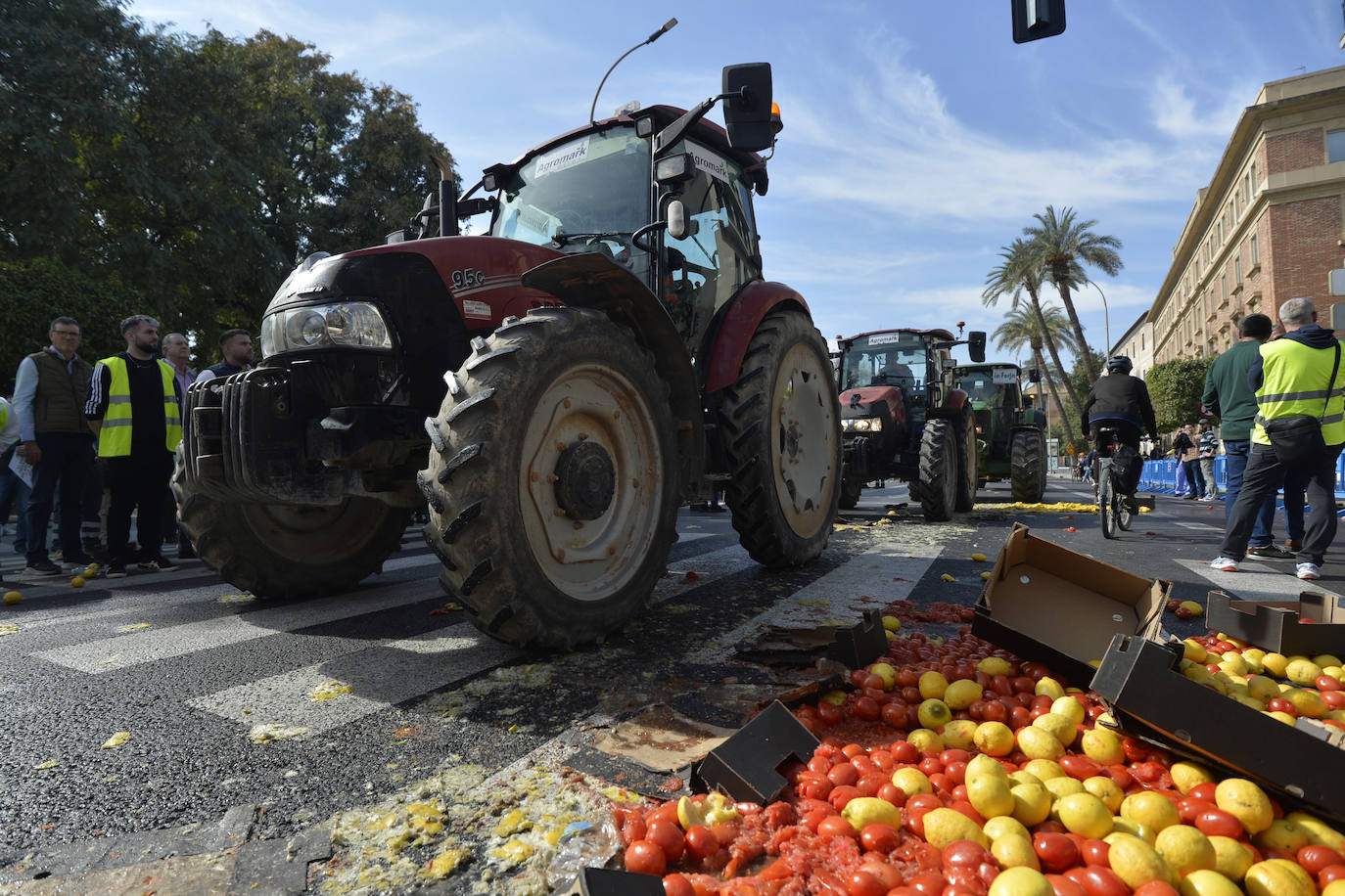 Las protestas de los agricultores llegan a Murcia el 21-F, en imágenes