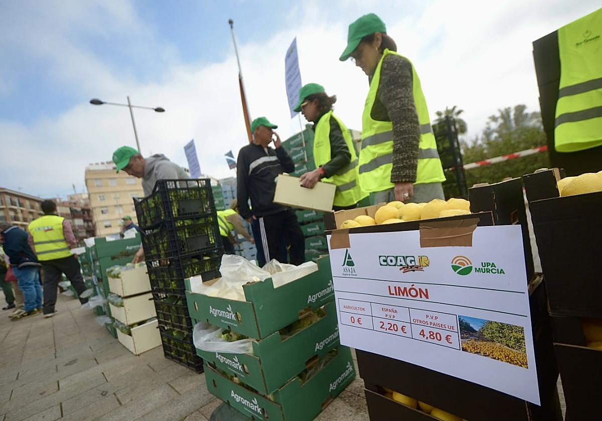 Agricultores denunciaron esta semana que el limón se cotiza a cero euros en el campo y se vende a 2,20 en España y a 4,80 en Europa.