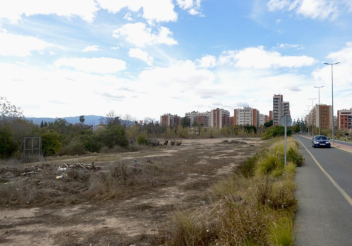 Terrenos donde se desarrollaría la segunda fase de la urbanización Joven Futura (al fondo), en la pedanía de Espinardo.
