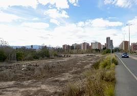 Terrenos donde se desarrollaría la segunda fase de la urbanización Joven Futura (al fondo), en la pedanía de Espinardo.