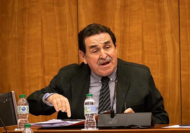 El primer teniente de alcalde, Manuel Mestre (Vox), salió este jueves en defensa de la gestión de Gonzalo Montoya.