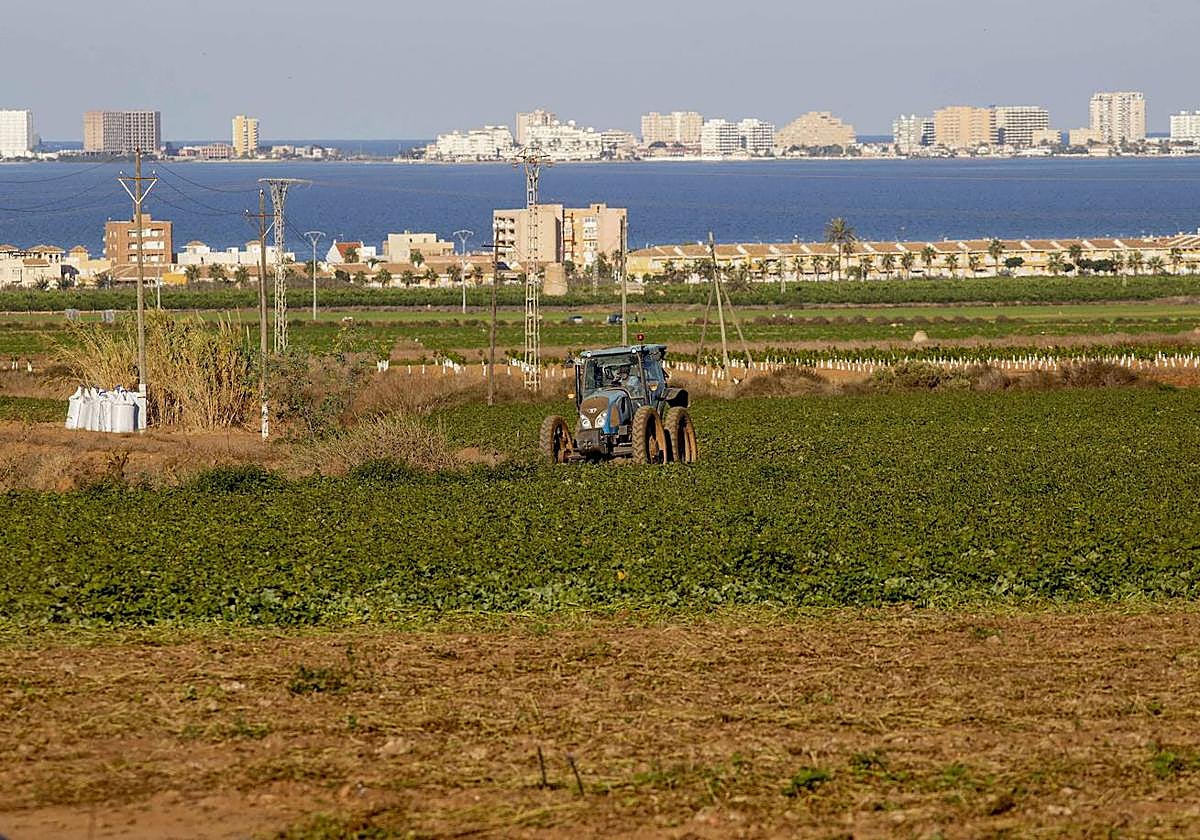 Campos agrícolas y urbanizaciones junto al Mar Menor en una imagen de archivo.