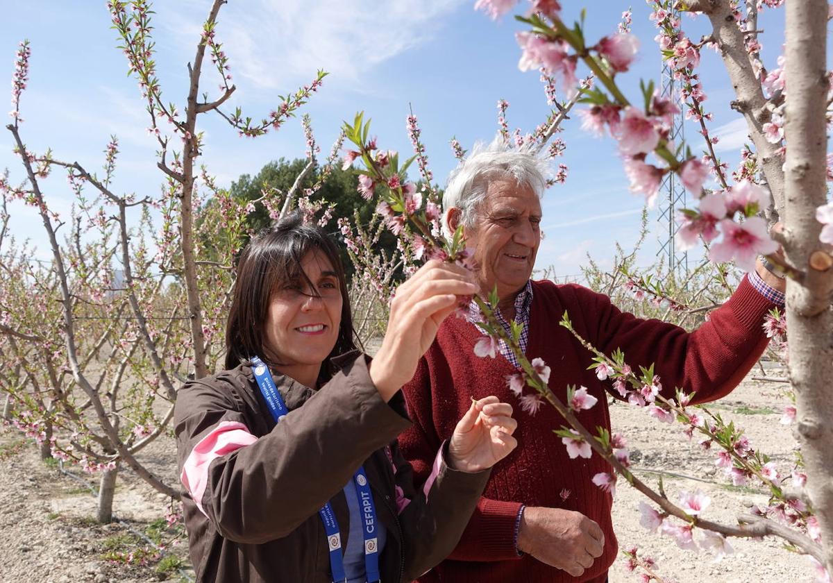 Manuel Lucas y su hija Cristina en su finca de melocotones Yellowstone.