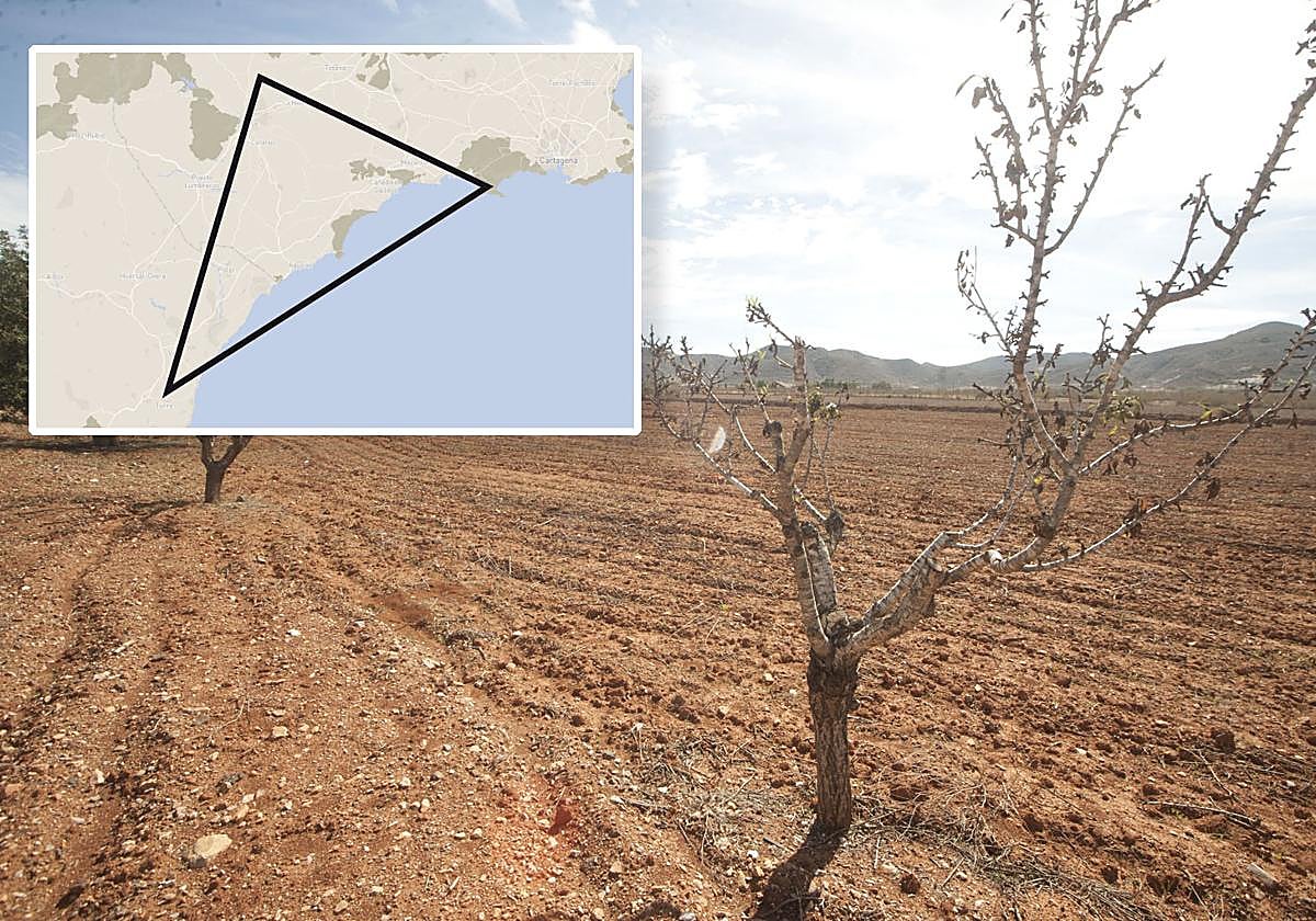 El triángulo geográfico entre Cabo Tiñoso, Lorca y Almería tiene los peores registros de lluvias desde octubre.