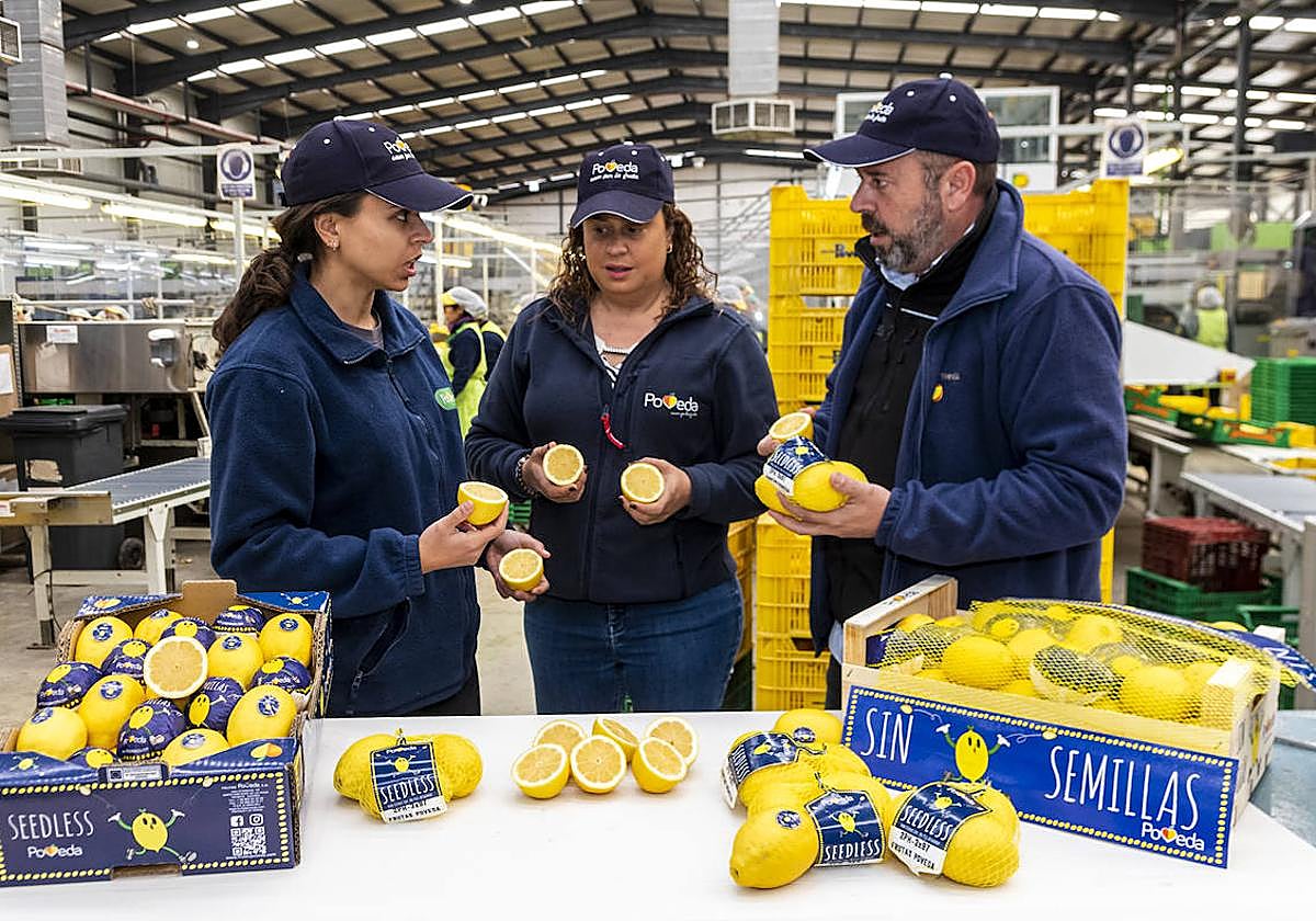 María, Isabel y Juan Poveda muestran el limón sin semillas que producen y comercializan en la sede de la empresa en San José de la Vega.