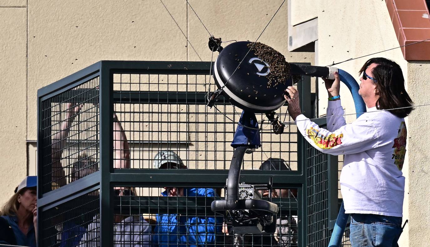 La victoria de Carlos Alcaraz ante Zverev tras la invasión de abejas en Indian Wells, en imágenes