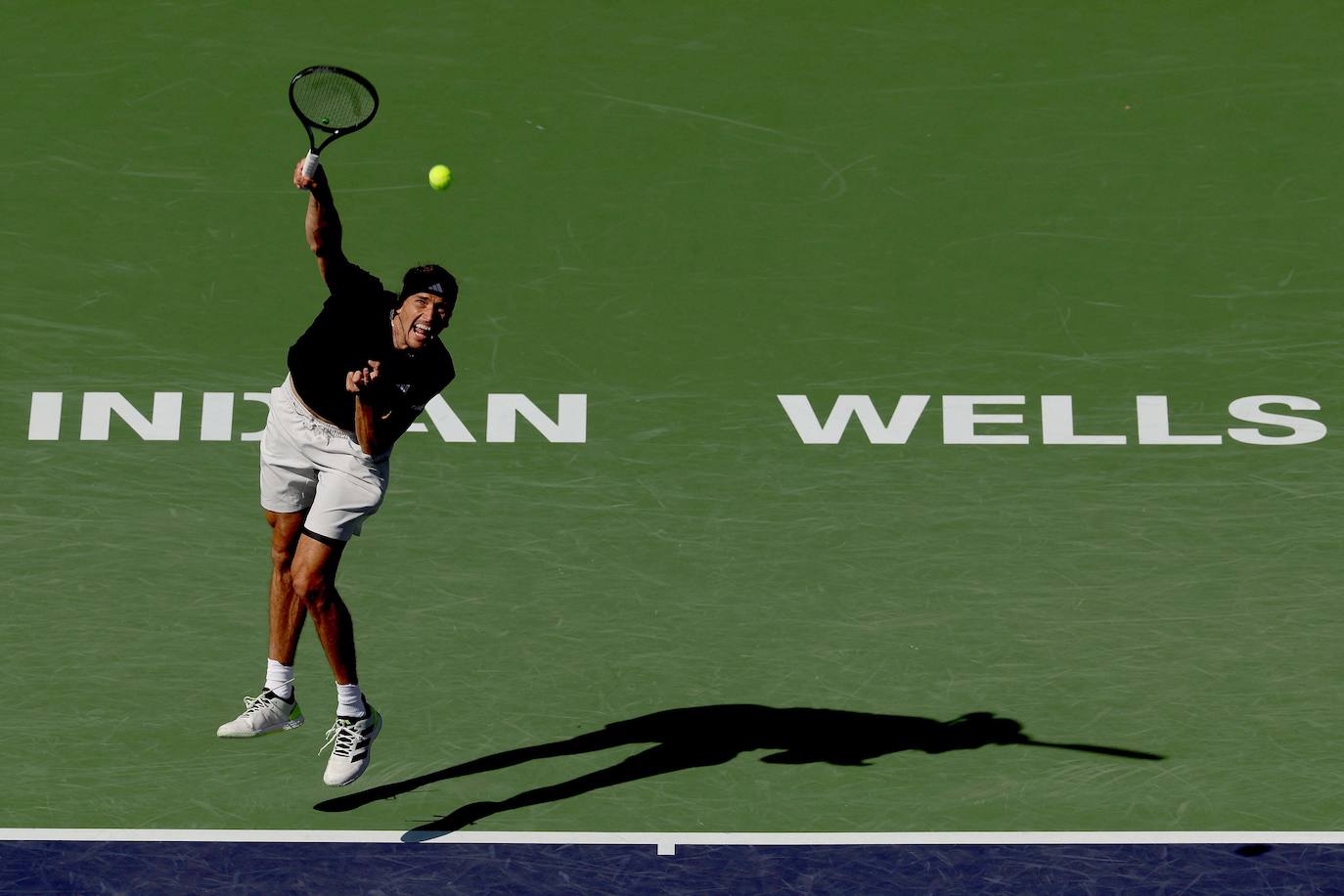 La victoria de Carlos Alcaraz ante Zverev tras la invasión de abejas en Indian Wells, en imágenes