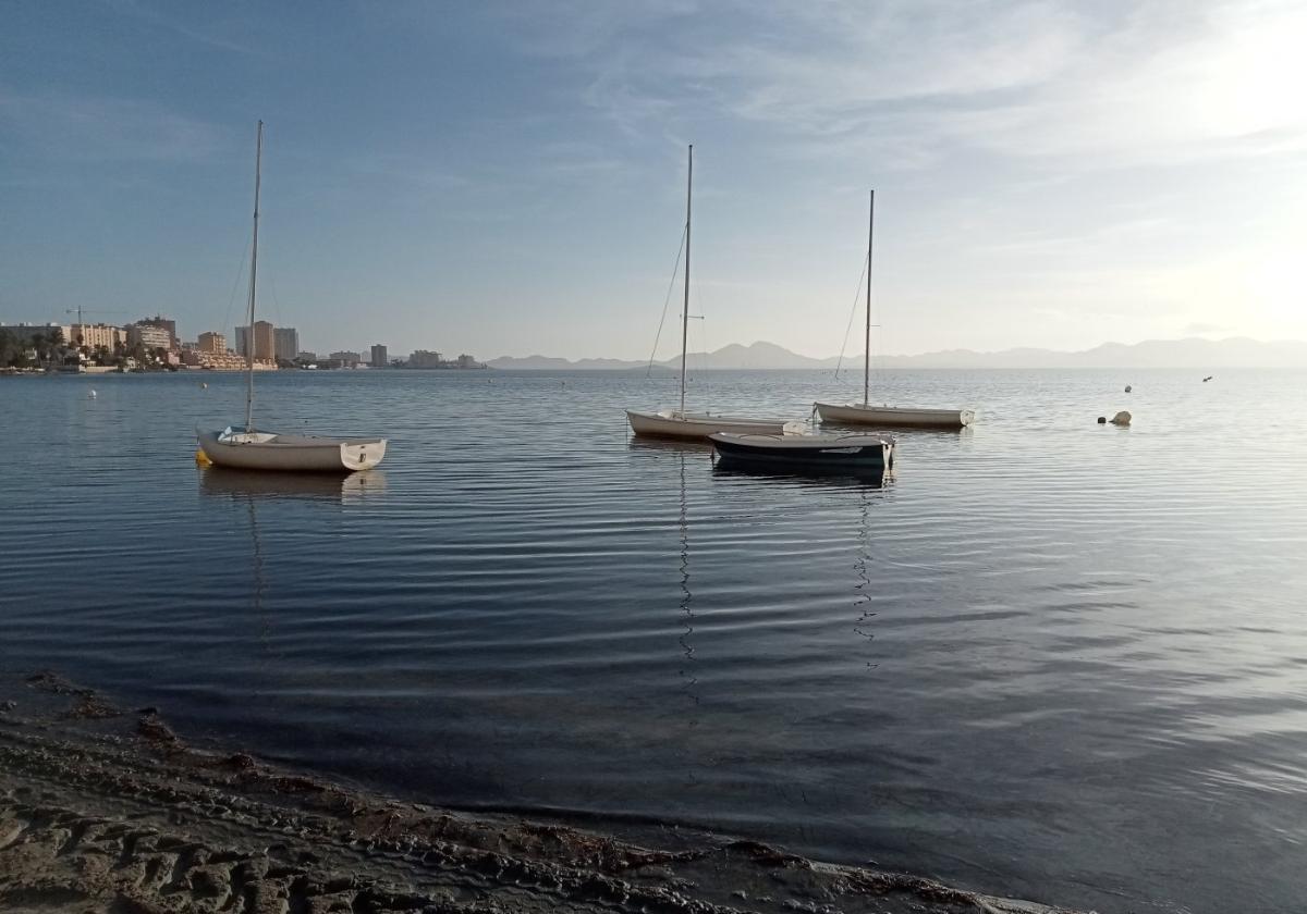 Varios barcos amarrados de forma irregular en una zona de La Manga protegida por la presencia de nacras.