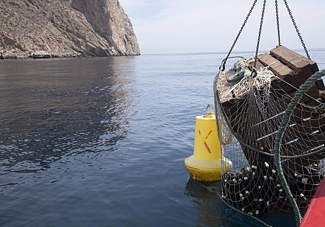 Extracción del fondo marino de una caja de madera con botellas de vino blanco.