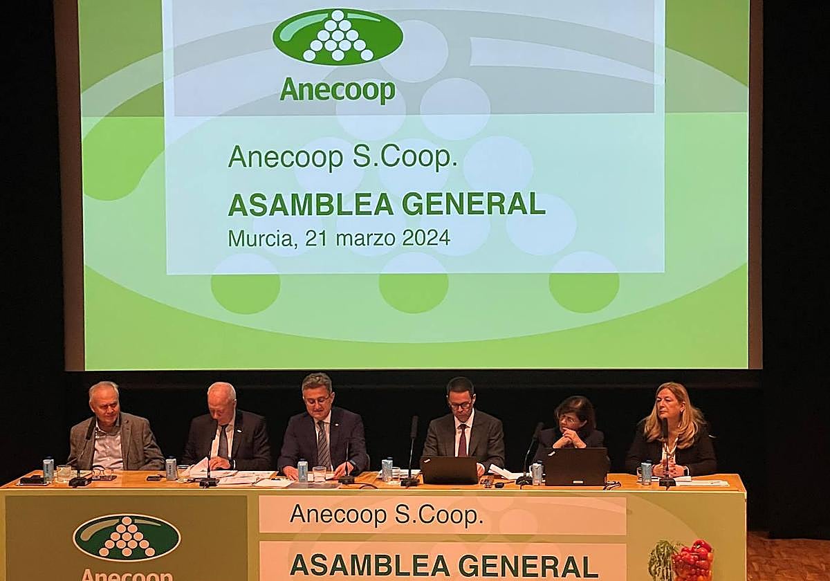 Anecoop aumenta su cifra de negocio un 2,7% frente a un descenso en el volumen comercializado