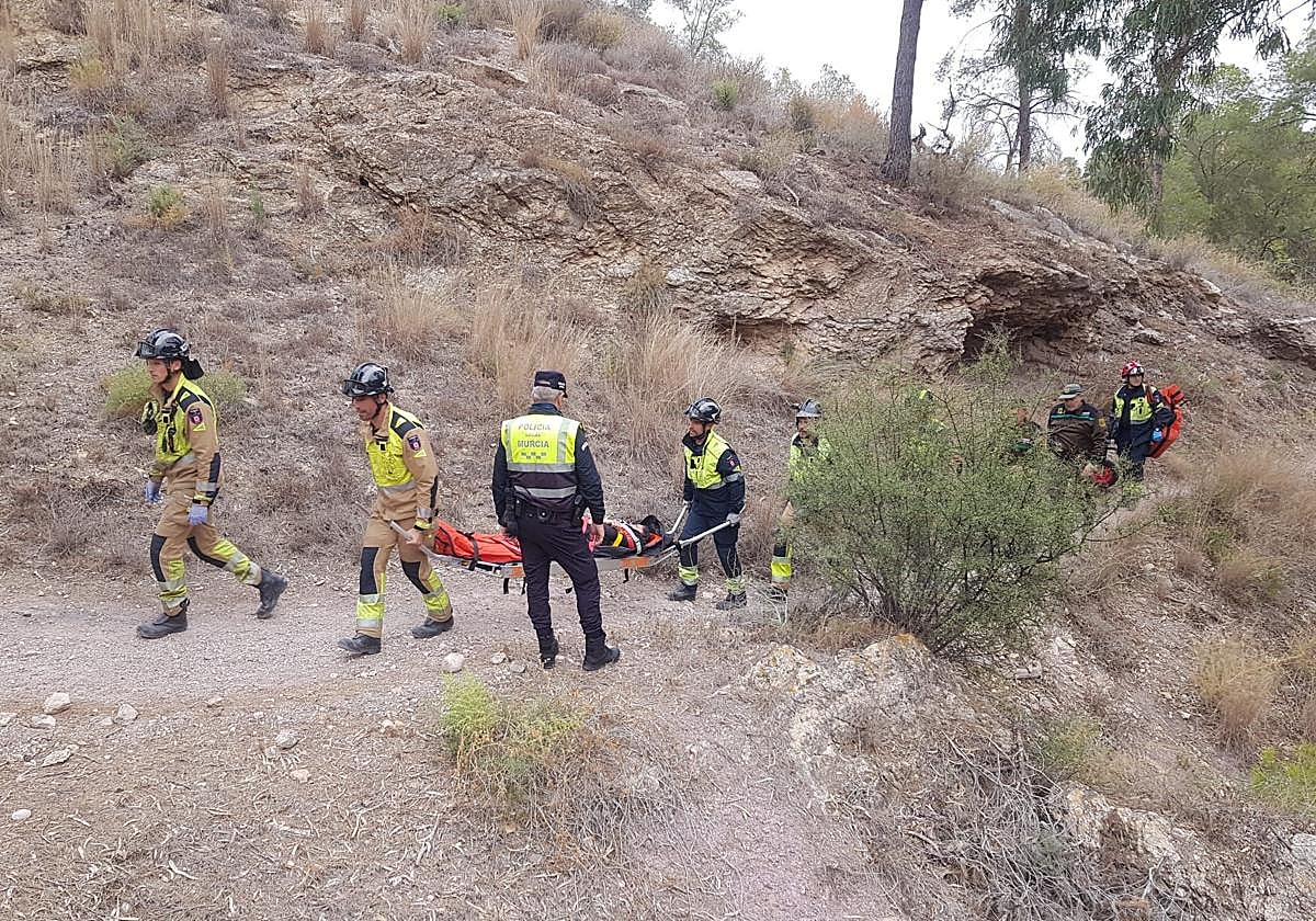 Agentes de la Policía Local, bomberos del Servicio de Extinción de Incendios y equipos sanitarios trasladan a la herida.