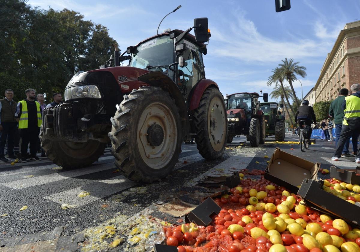 Protesta de agricultores ante la Delegación del Gobierno, el pasado 21 de febrero.