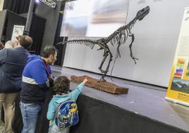 Varias familias contemplan el fósil de un dinosaurio.