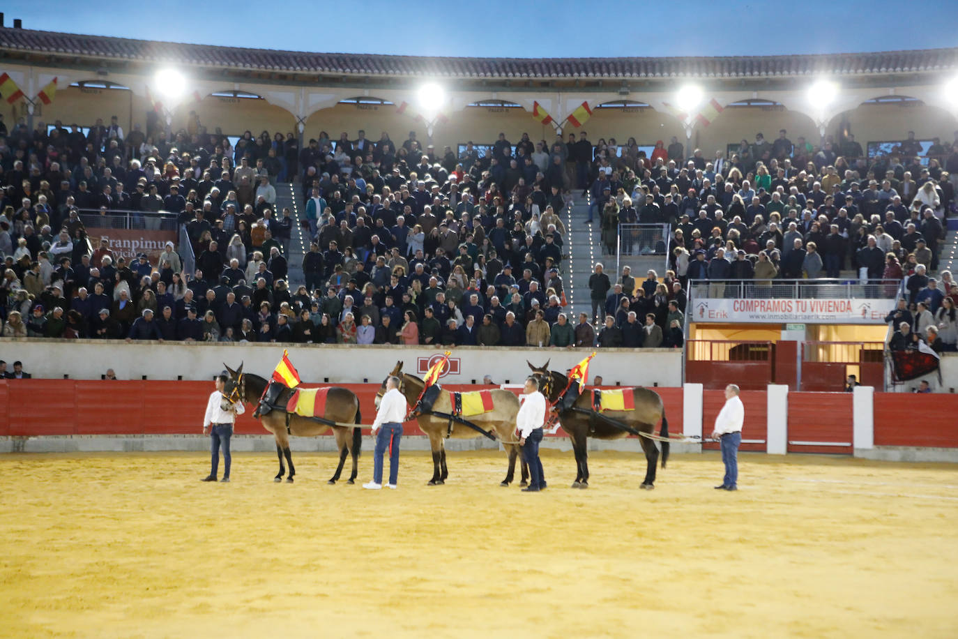 La reapertura de la plaza de toros de Lorca, en imágenes