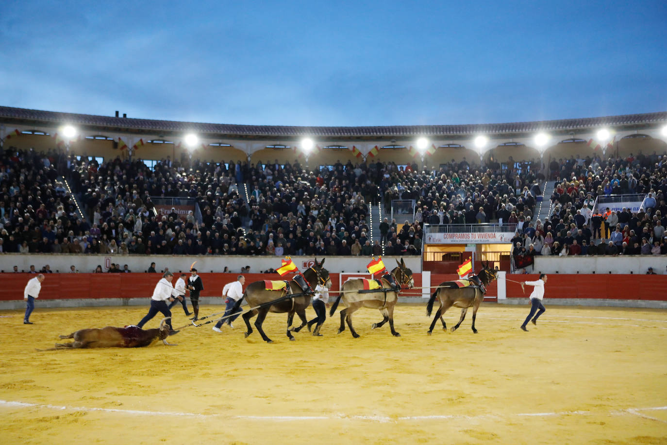 La reapertura de la plaza de toros de Lorca, en imágenes