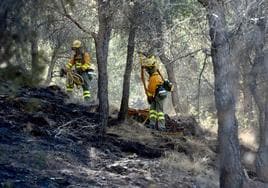 Bomberos en un reciente incendio forestal en Murcia.