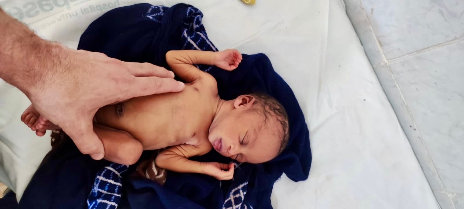 Scroll Story imagen 0