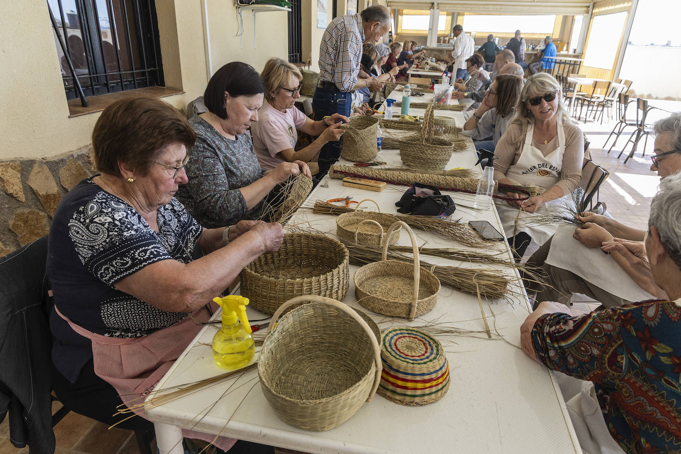 El esparto florece en la zona oeste de Cartagena